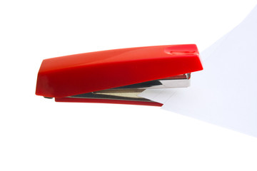 stapler