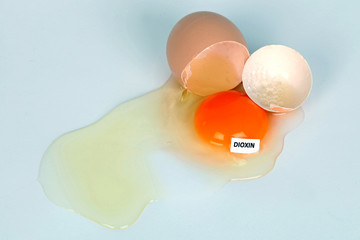 Dioxin im Ei