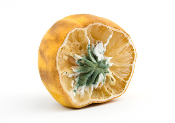 moldy lemon