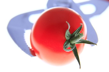 2010j_09_27_Tomate_Zange_01_0000