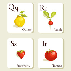 Fruits and vegetables  alphabet cards , illustration, part 5of 7