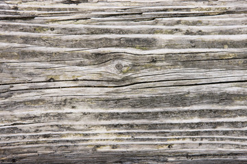 Obraz premium Drewno narażone na wiatr i deszcz