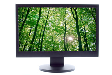 sunlight being detectable in trees in the forest on TV screen