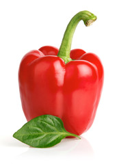 fresh single pepper fruit isolated