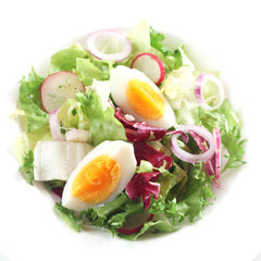 Green Salad with Boiled Egg