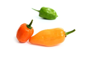 Habanero Capsicum chili hottest pepper in the world from Mexico