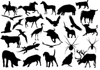 27 siluetas de animales vectorial