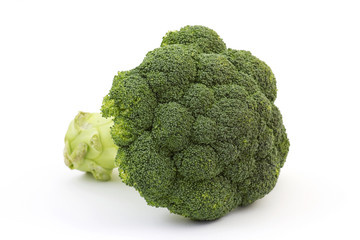 broccoli isolated on white