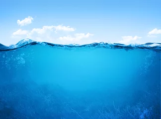 Zelfklevend Fotobehang underwater scene © adimas