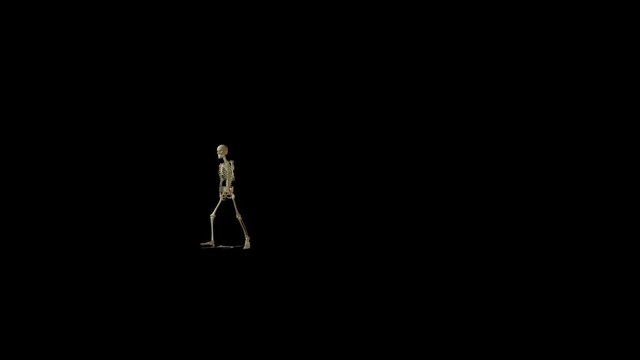 dead man walking