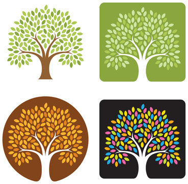 tree logo/icon with 4 variations