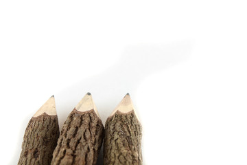 pencil made from real tree branch on white background