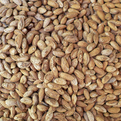 shell almonds closeup