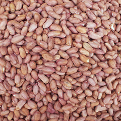 plain groundnuts closeup, background