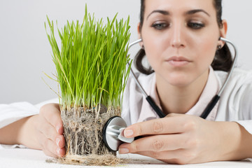 doctor checked the plant