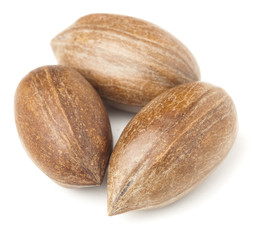 pecan nuts
