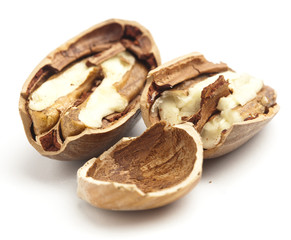 pecan nut broken