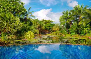 Swimming pool surrounded by lush tropical plants