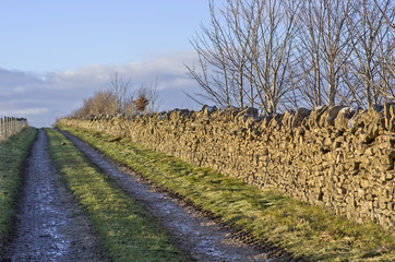 Fototapeta premium footpath