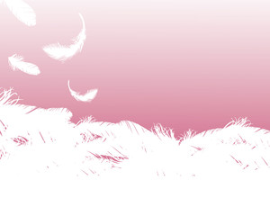 feather background pink