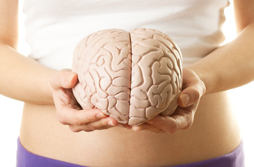 Woman holding a human brain model against white background
