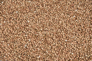 buckwheat