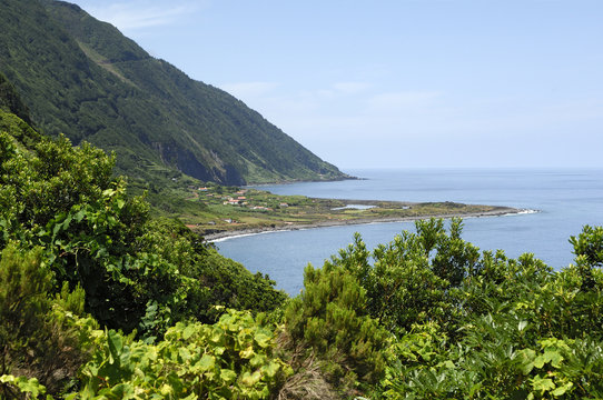 Faja dos Cubres - Sao Jorge