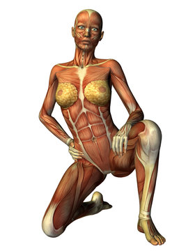 Muskelaufbau Frau auf einem Knie