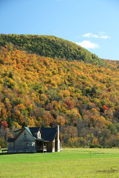 Log Home In Autmn