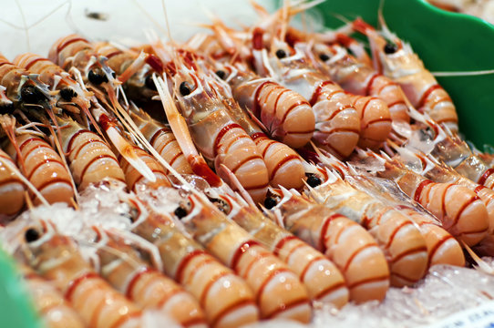 Tiger Prawns