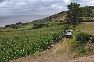 Landschaft bei Sao Sebastiao - Terceira