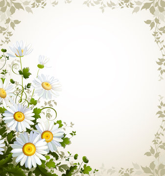 postal with a realistic chamomile on the beige background
