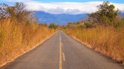 Country Road in Costa Rica