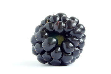 blackberry