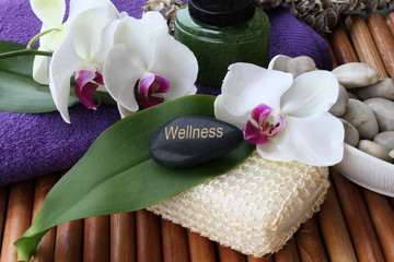 Wellness