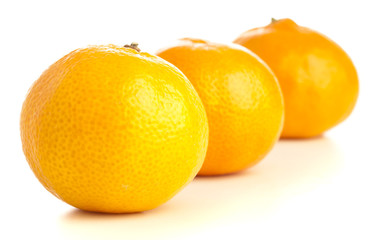 mandarin orange
