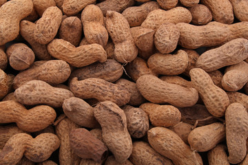 Peanut or groundnut in it's shell ready to eat,