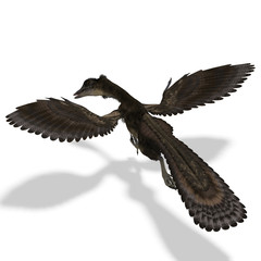 Dinosaur Archaeopteryx. 3D rendering with clipping path and
