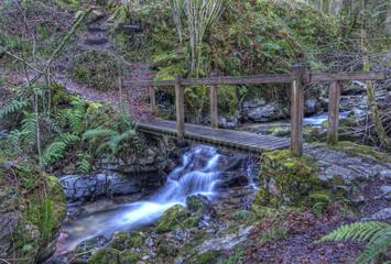 Puente sobre el arroyo.