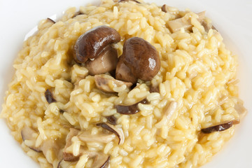 risotto with mushrooms closeup - risotto ai funghi porcini © Antonio Scarpi