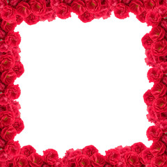 Frame of roses