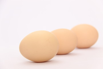 たまご