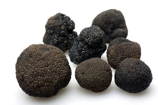 black truffles - tartufo nero