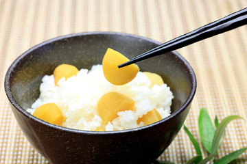 Japanese cooking(kurigohan)