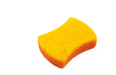 sponge
