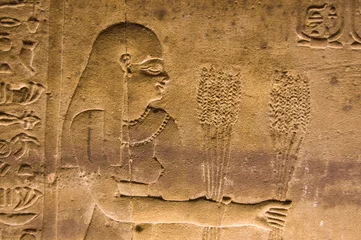 Fotobehang Oude Egyptische priesteres met tarweoogst © BasPhoto