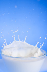 Milk splash close-up