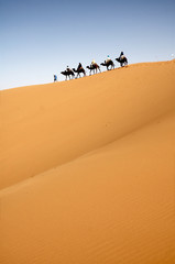 Fototapeta na wymiar Desert caravan