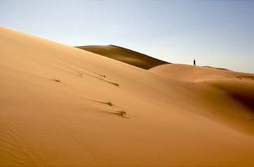 Fototapeta na wymiar Alone in the desert
