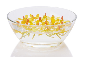 yellow orchid floating